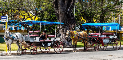 Horse-drawn Carriages - downtown Varadero