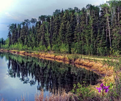 Reflections and Evergreens