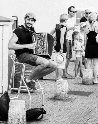 Accordionist
