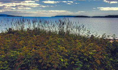 The Beauty of Northern Ontario