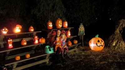 The Pumpkin patch and some of it;s inhabiants