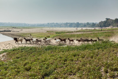 Mandalay-4418.jpg