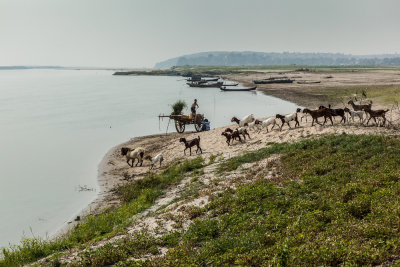 Mandalay-4420.jpg