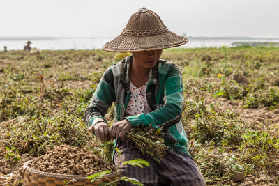 Mandalay-4477.jpg