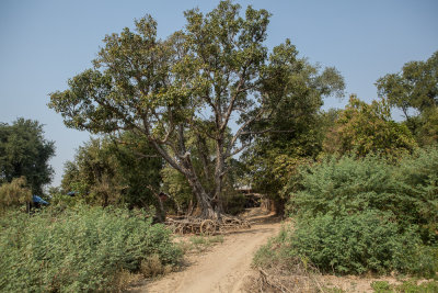 Mandalay-4486.jpg