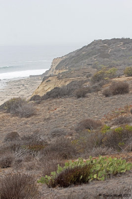 crystal_cove_2013_july