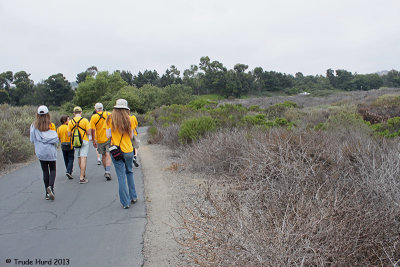 Combining birding, plein air painting, and native plants at Crystal Cove was a GREAT IDEA.