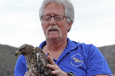We joined Dr. Scott Weldy for a raptor release near the Santa Ana Mountains