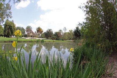 Pond and Victorian house
