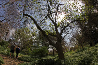 What a great place to take a walk!