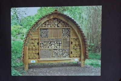 I want to build a native bee house like this at the SJWS!