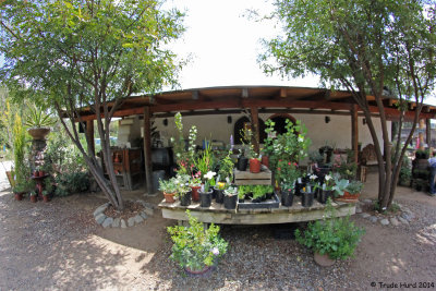 Tree Of Life Nursery is the largest California native plant supplier in CA!
