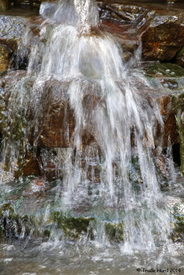 Pond waterfall (playing with low ISO to create smooth water)