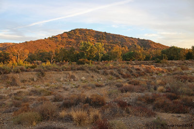 We took a sunset walk at Irvine Regional Park