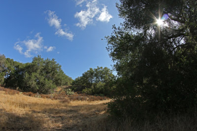Caspers Wilderness Park (fish eye lens)