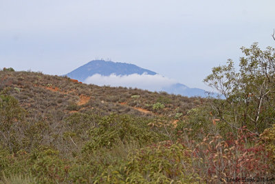 Crisp winter day to walk at Caspers Wilderness Park