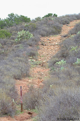 Up Quail Trail to East Ridge