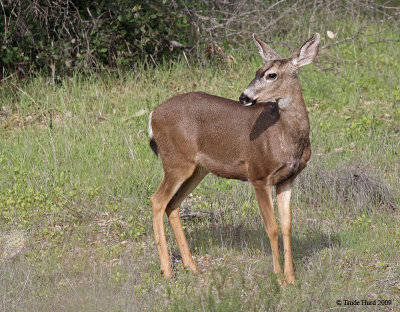 IMG_8031 second look back r.jpg