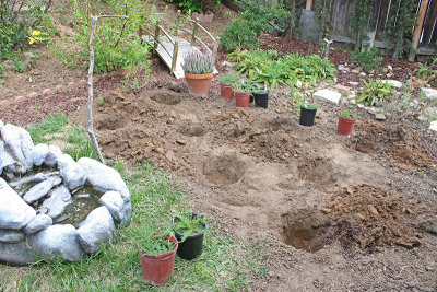 Dig holes twice as deep as 1 gallon container