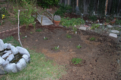 Add 8 plants with space to grow (2 ft wide)