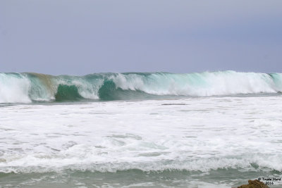 Just keep looking at the waves