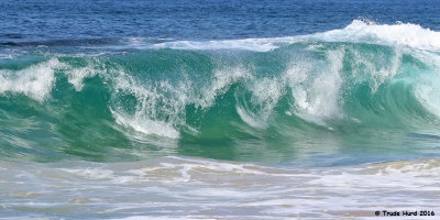 crystal_cove_2016_labor_day