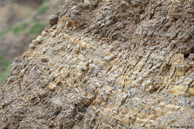 Love the rock colors
