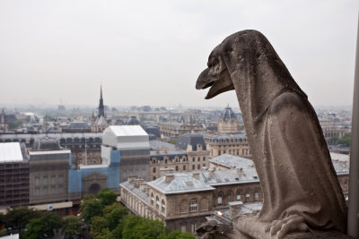 Notre Dame006.jpg