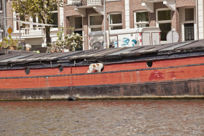Amsterdam Canal Cruise025.jpg