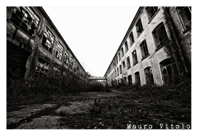 Ex Area (1).jpg