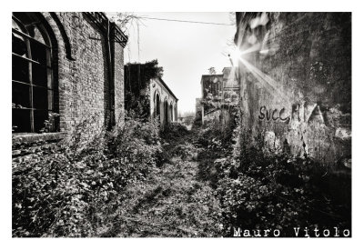 Ex Area (48).jpg