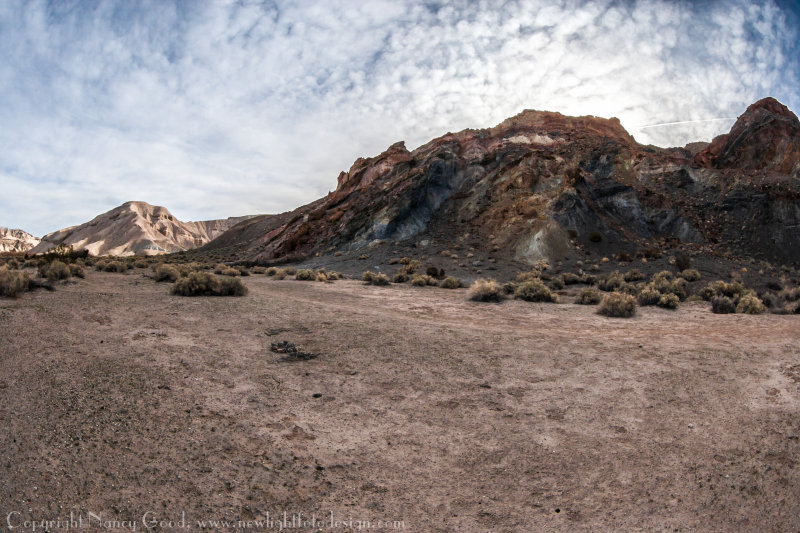 YG8Y0200-1.jpg