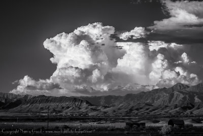 Desert Life:  restoration through sparseness ... 