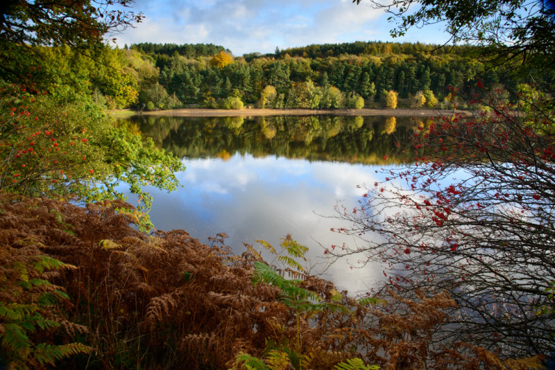 Autumnal Fewston  13_d800_4175