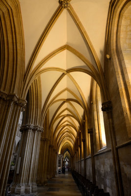 Wells Cathedral  13_d800_0506 