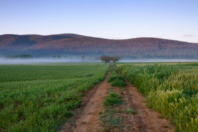 Monteriggioni Misty Dawn  14_d800_1539