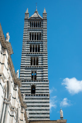 Siena Cathedral  14_d800_1733 