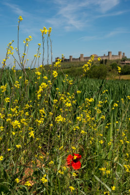 Monteriggioni  14_d800_2028 