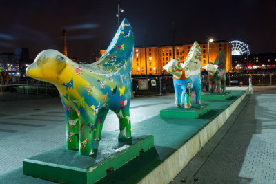 Liverpool Waterfront  15_d90_DSC_0799