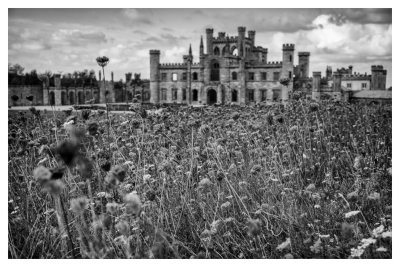 Lowther Castle  15_d800_7311