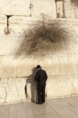 The Western Wall