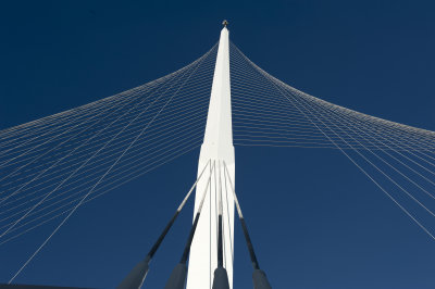 Bridge of Strings