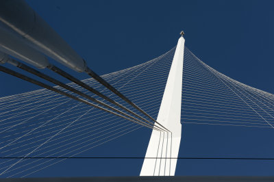 Bridge of Strings
