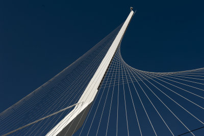 Bridge of Strings