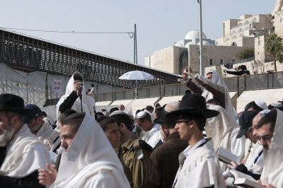 The Western Wall