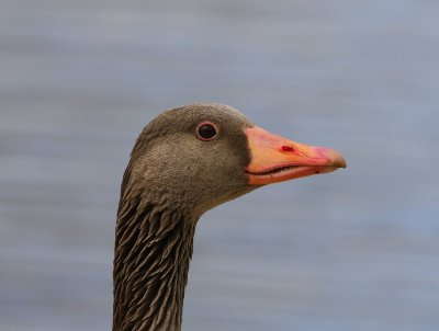 g9/91/964991/3/163107021.G58KUxLE.jpg