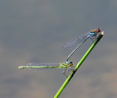 g9/91/964991/3/163751134.LcuiWz0H.jpg