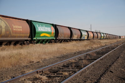 Saskatchewan Cars on the horizon