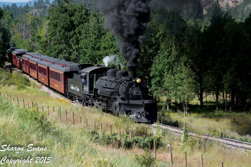 Train 216 is exiting the Narrows with K36 289 leading
