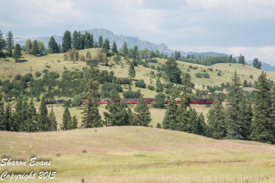 C&TS trains 215 and 226 shot 8/22/15
